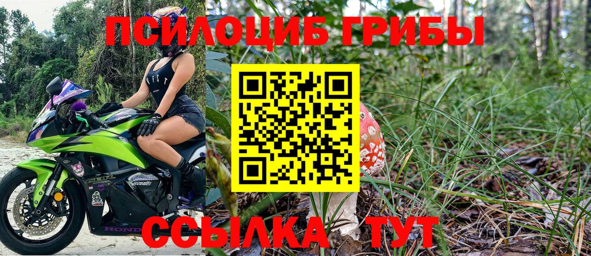 Балашиха  Псилоцибиновые грибы Psilocybine cubensis  Вход с VPN 