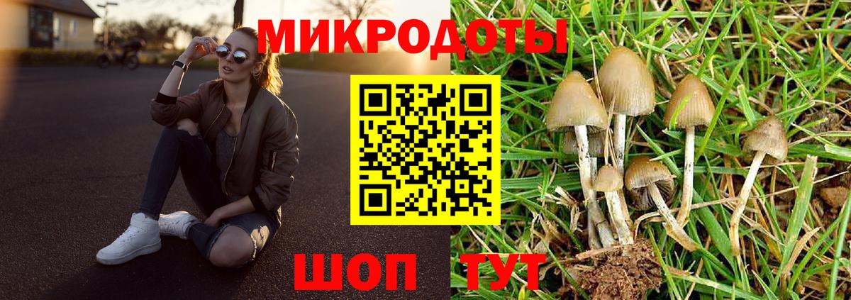 Галлюциногенные грибы MAGIC MUSHROOMS Балашиха